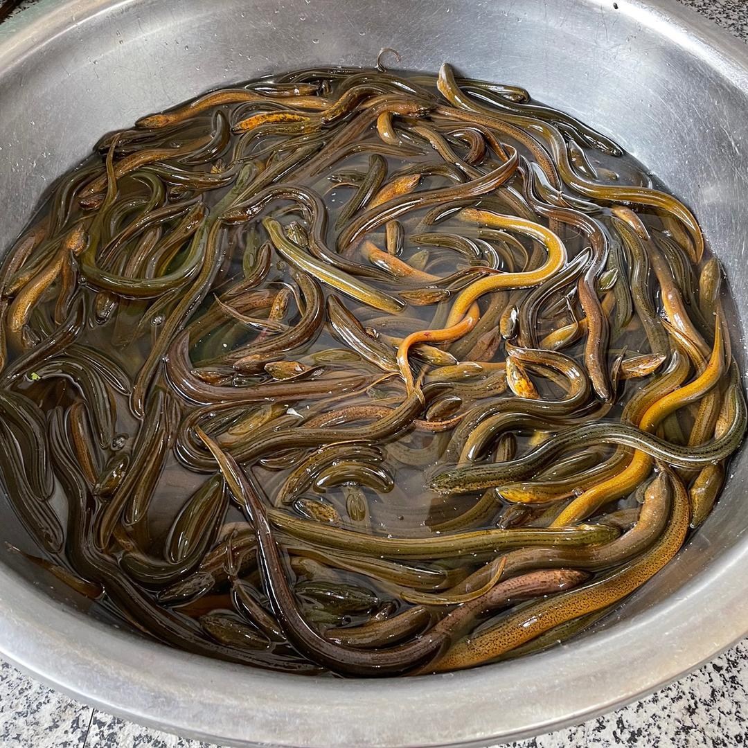 艳坤饭店手撕盘龙鳝（新安集店）