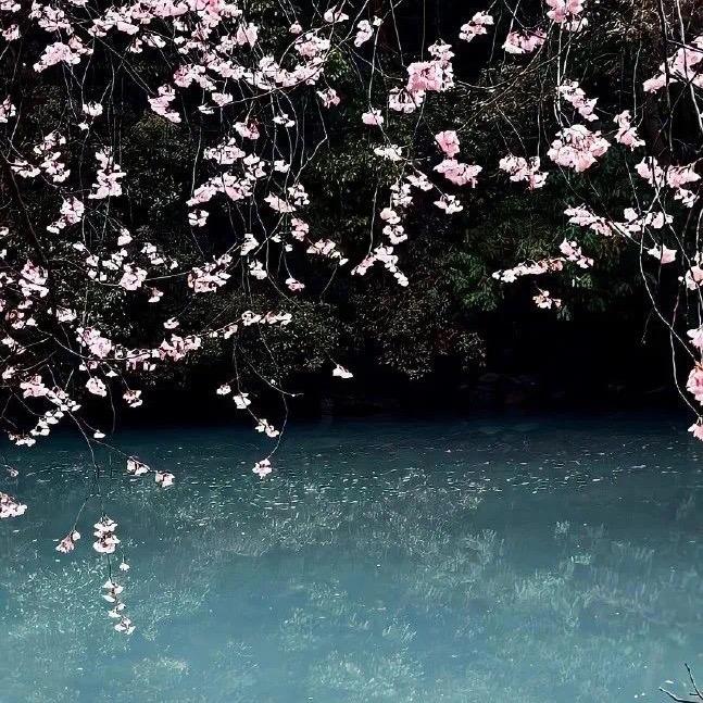 左左左左左左