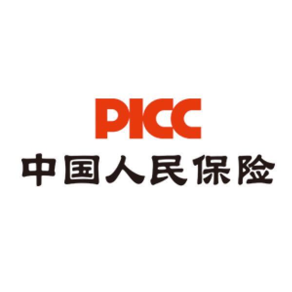 PICC中国人保财险-小龙