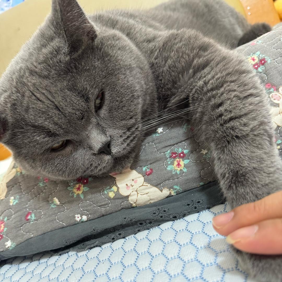 陆玥。
