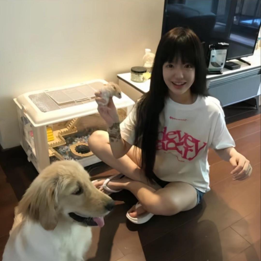 灰灰