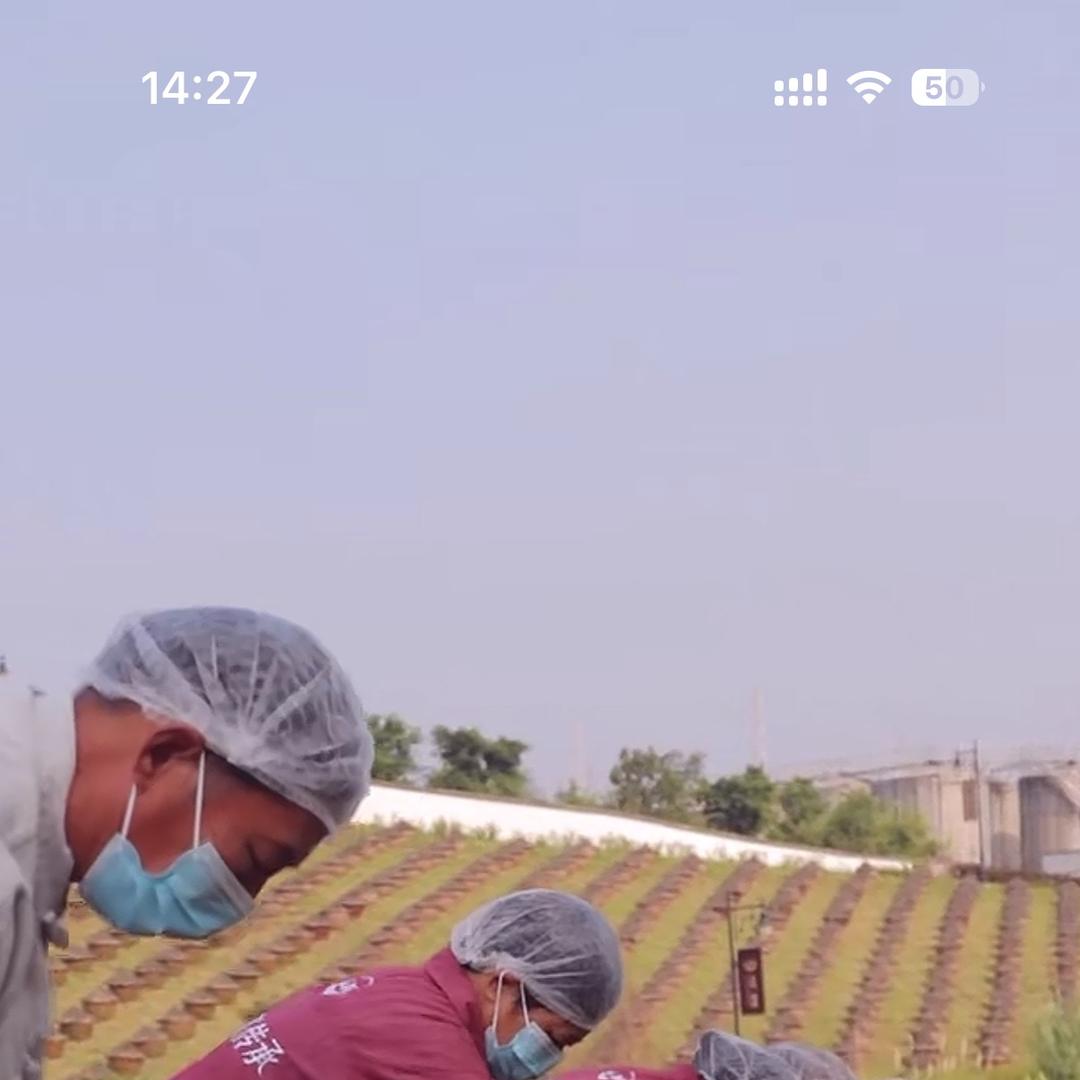 佬酱号酱园直播号