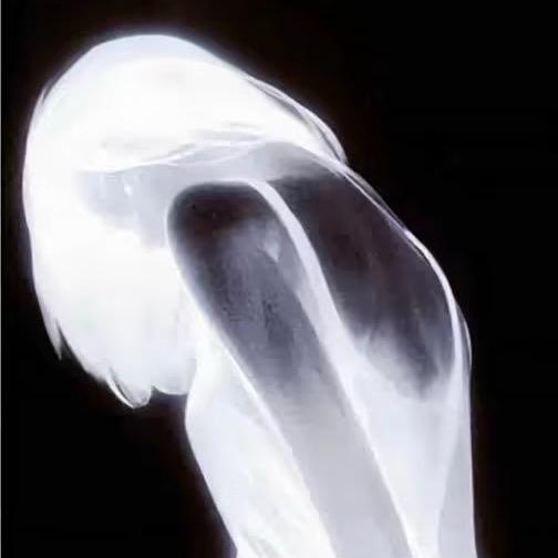 緣緣.