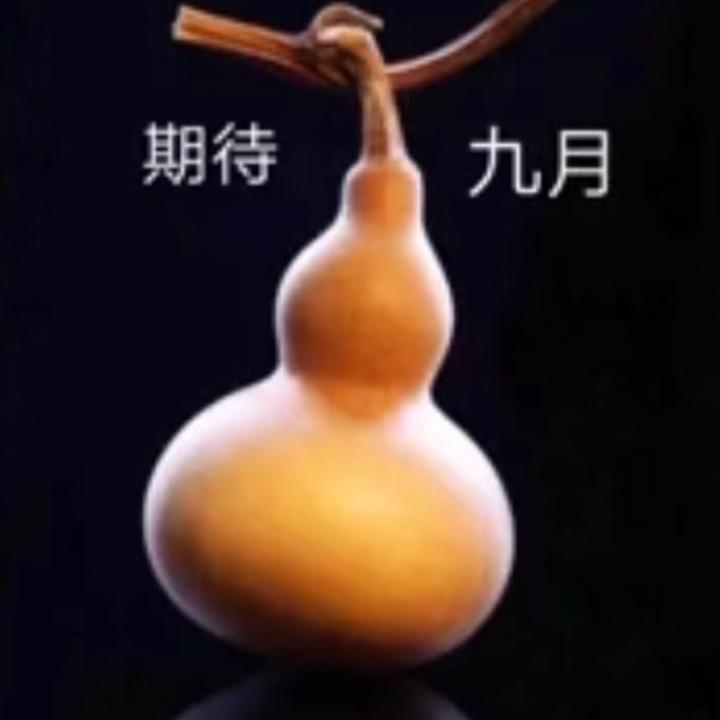 专治火山精神病