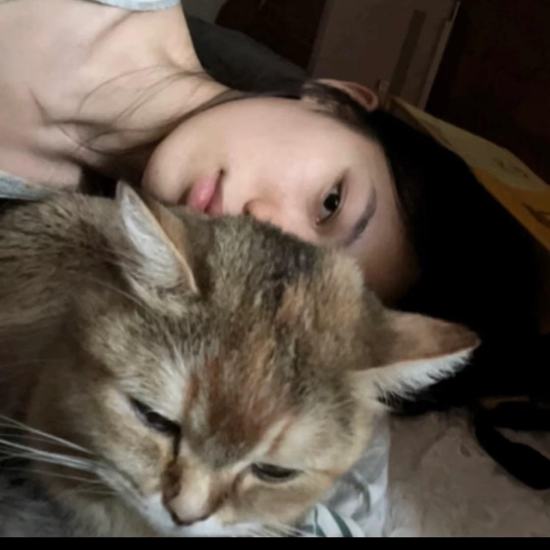 ︍︆  ㅤ    7.