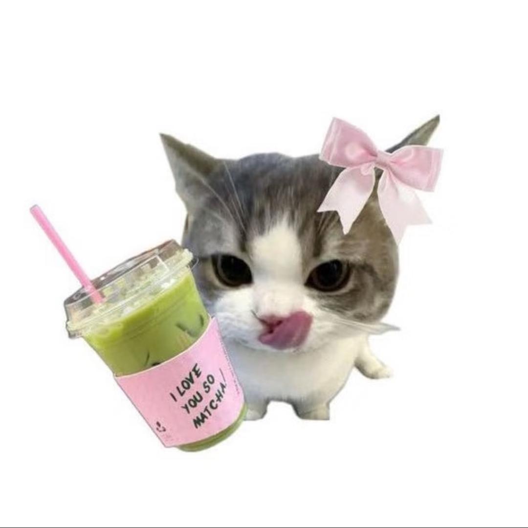 喵喵抹茶卷