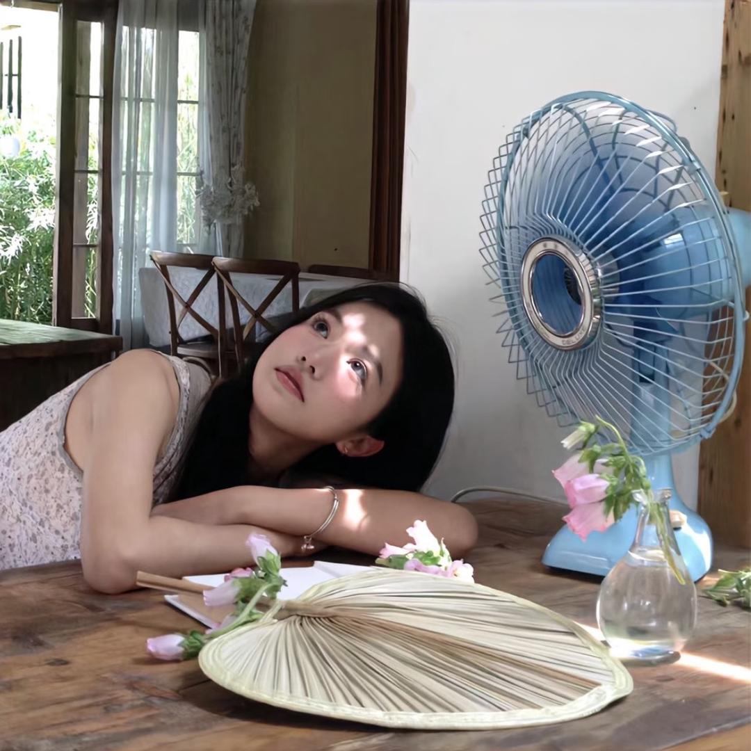 热狗🌭