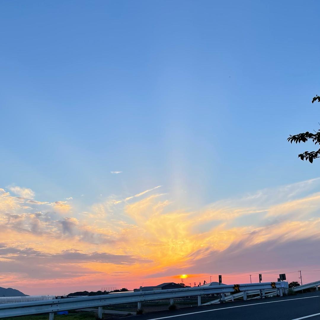 晓看天色暮看云