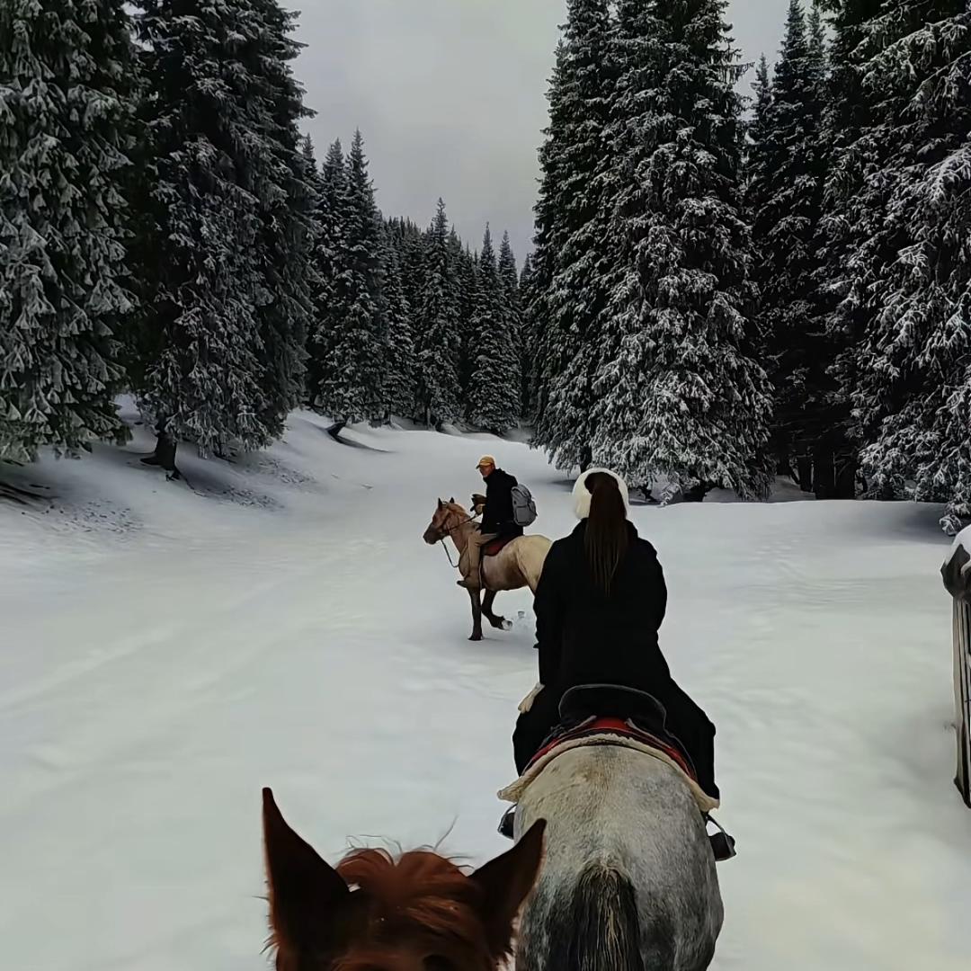 用户18396858646532