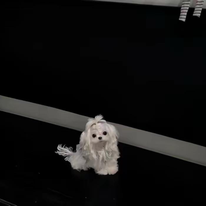 好运来超市(玉田店)sdfg46d5hdgf直播号