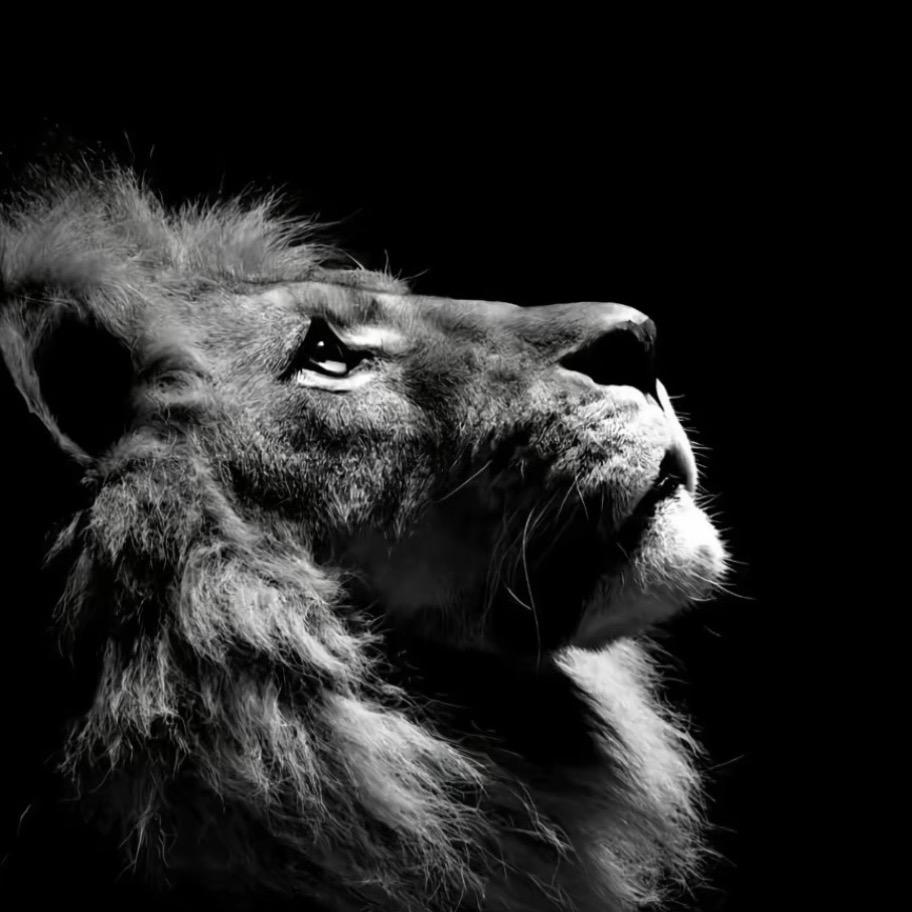 初一那年祸害女同学的那个