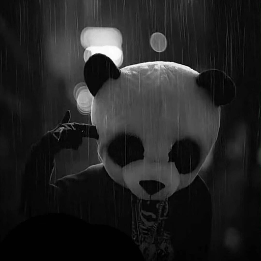 歖恸