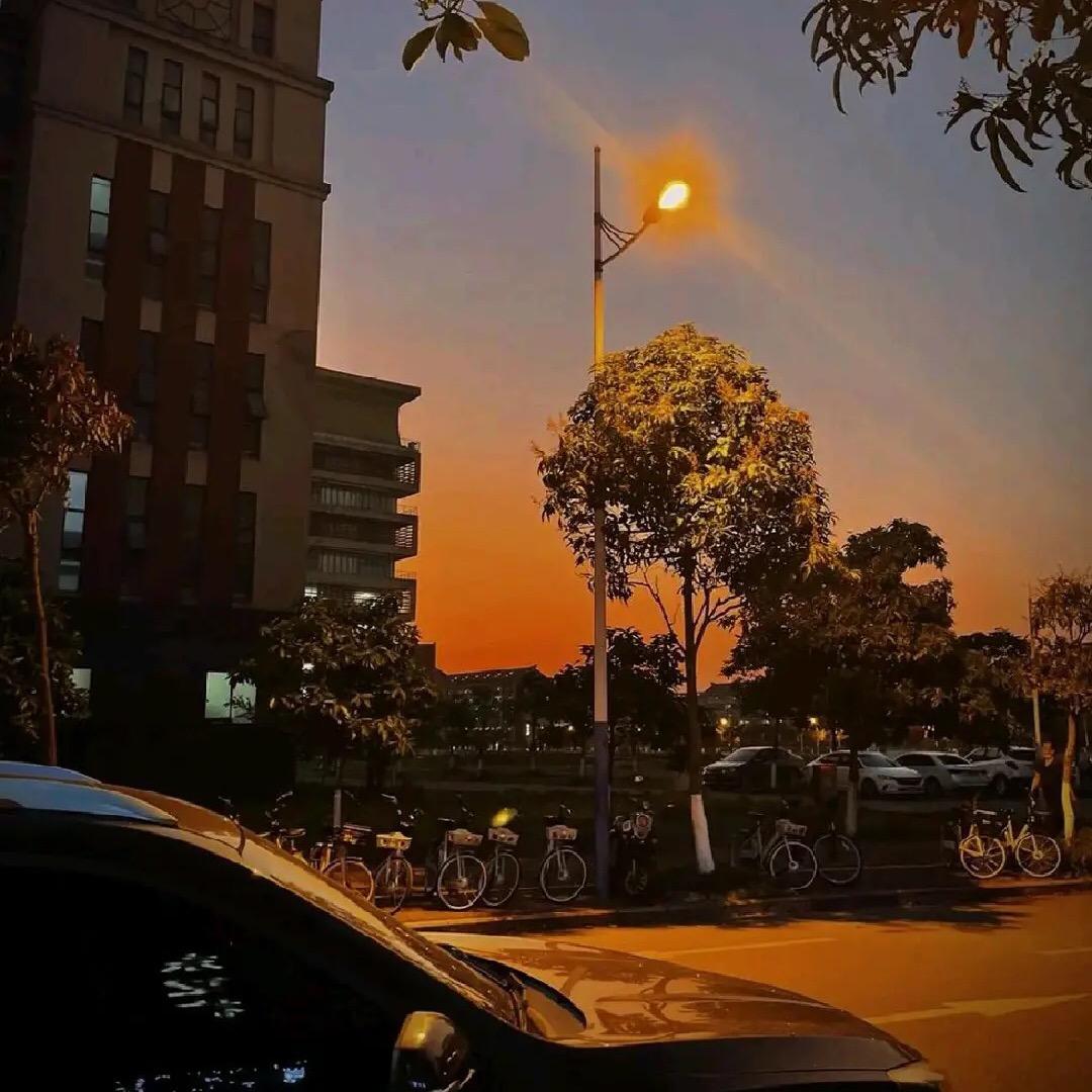 小十一☀️（陈大大☀️）