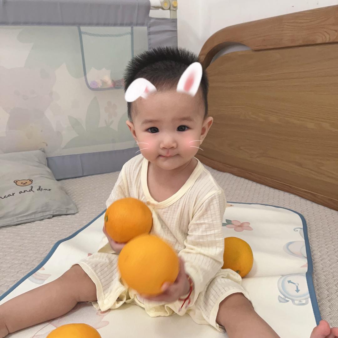 想要一只小德文