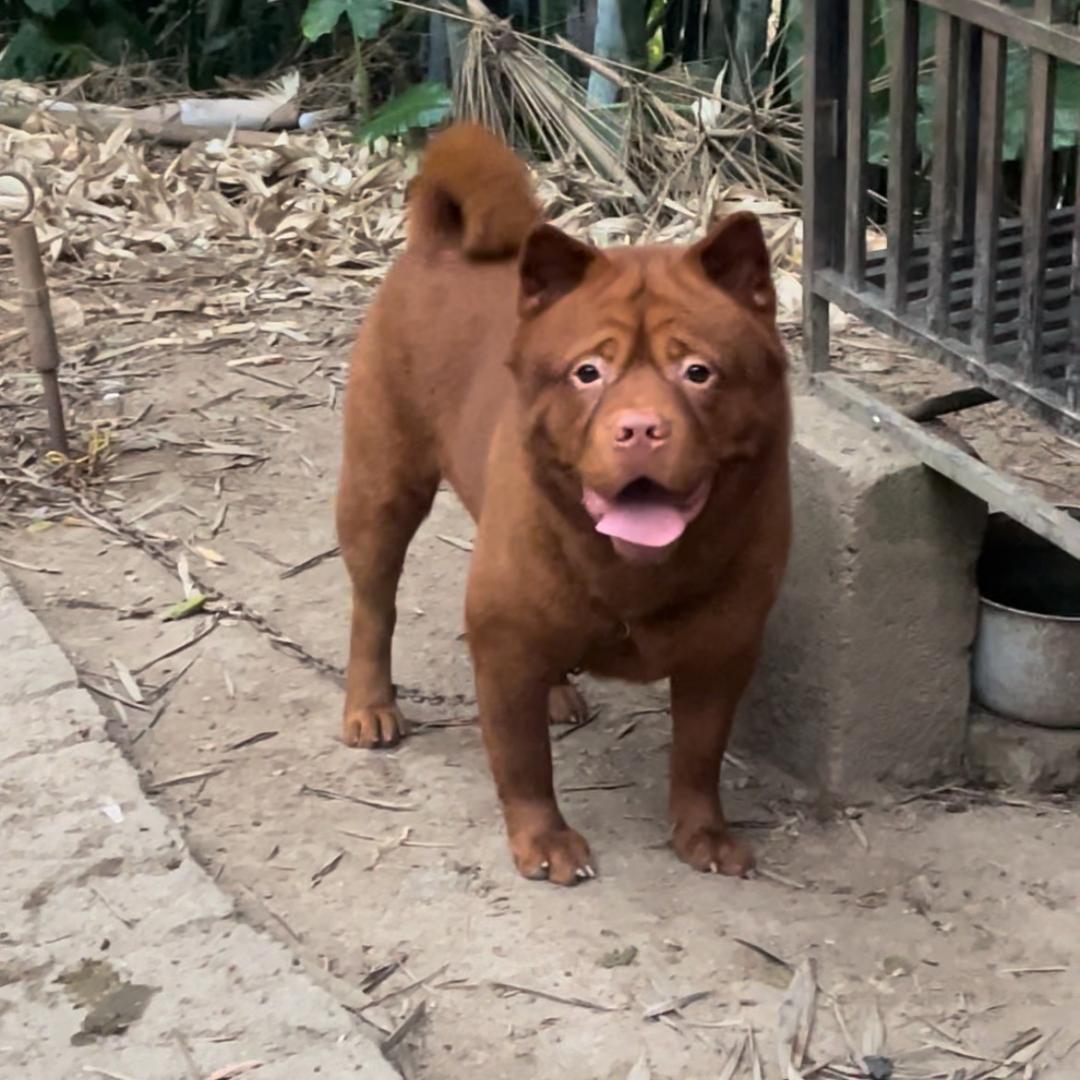 往后余生🐷