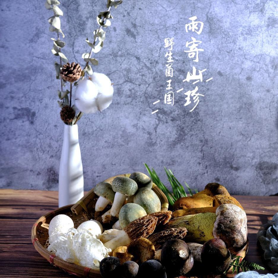 菌二代-云南雨寄山珍野生菌