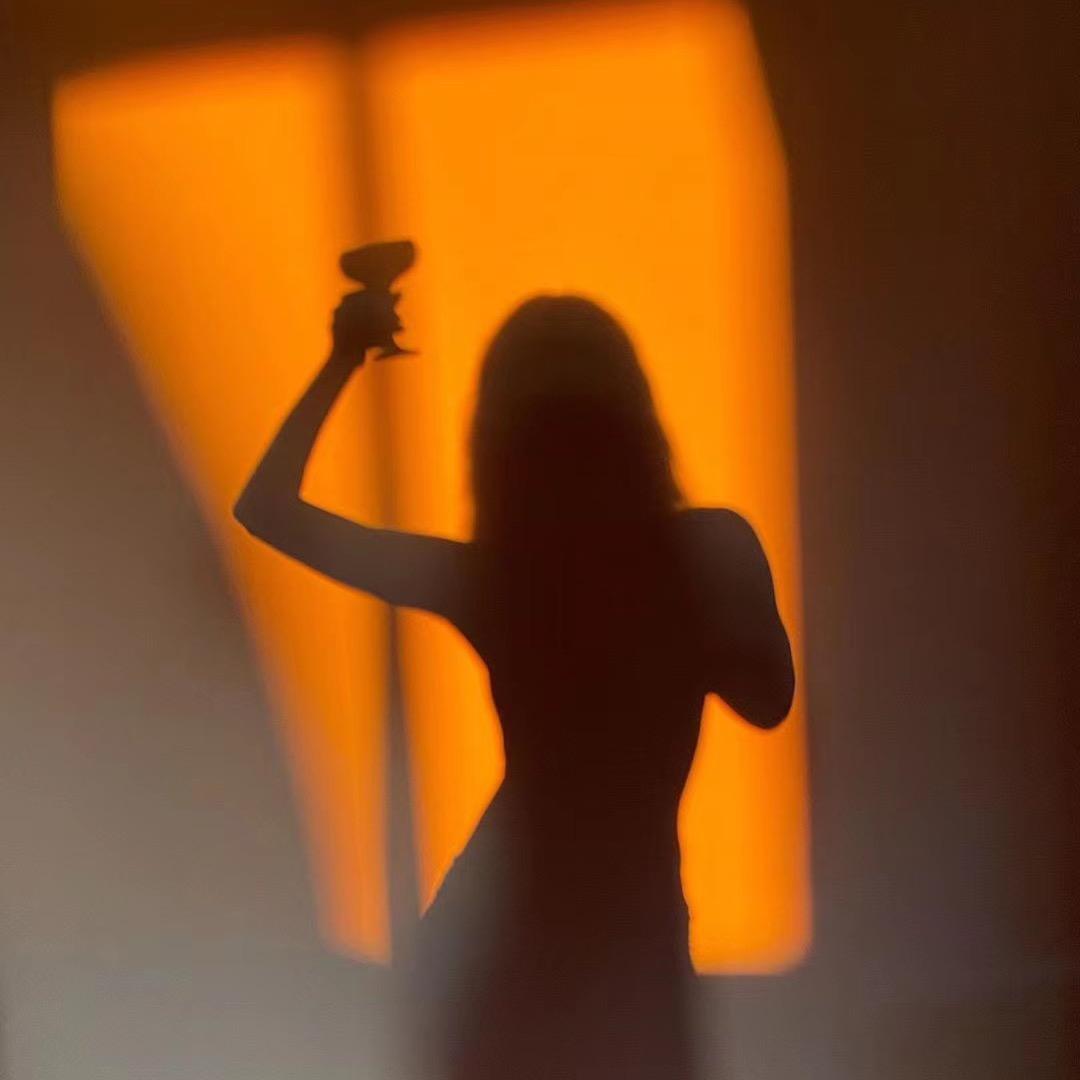 静香-