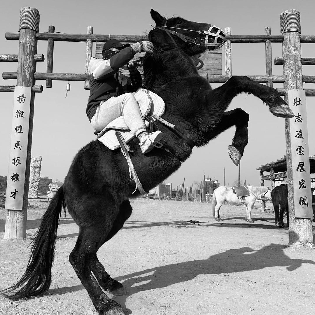 马背上的小哥，🏇520