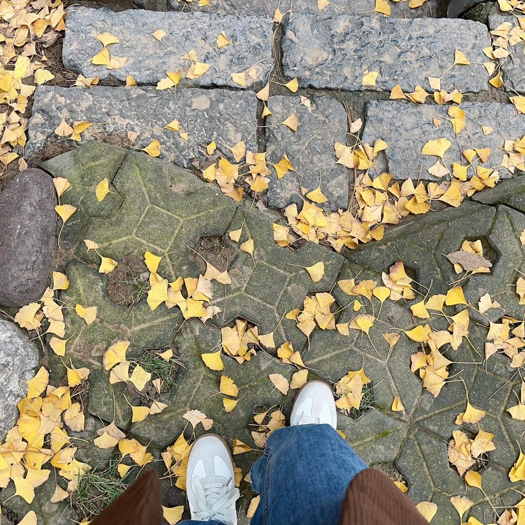 羊羊洋