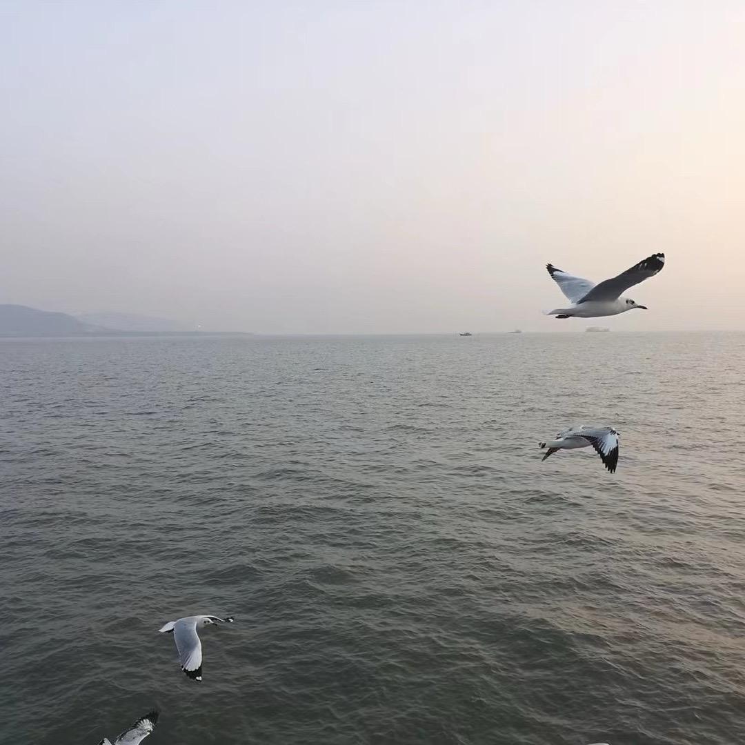 肤浅了