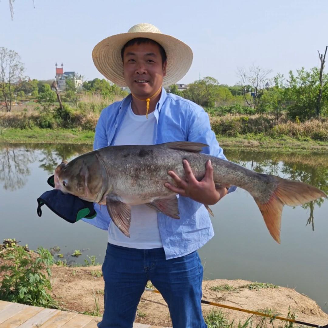 奋斗的小青年👩‍🌾