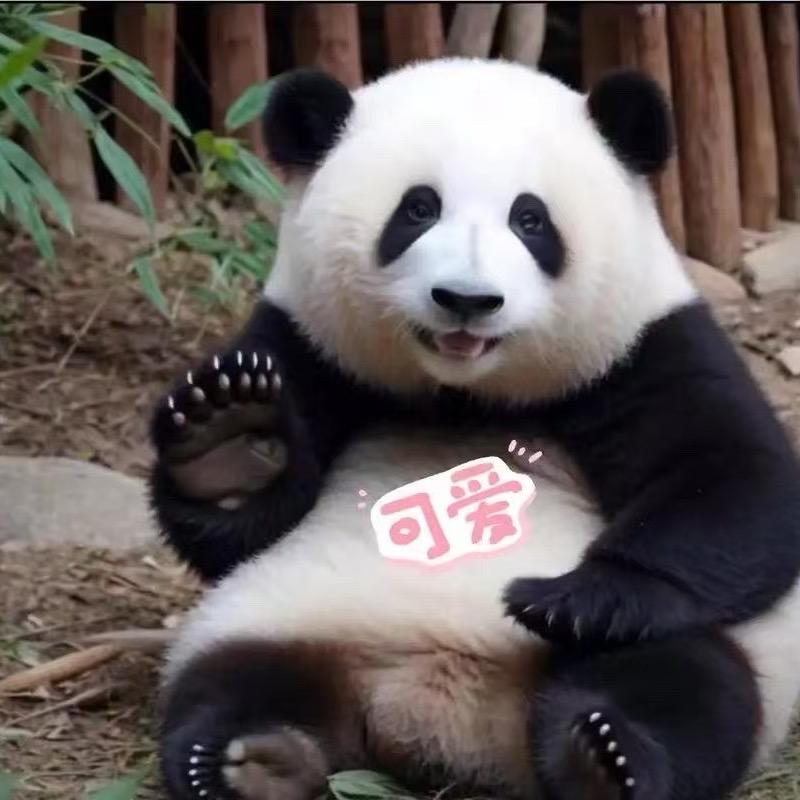 阿岚是四川导游（私订接待）