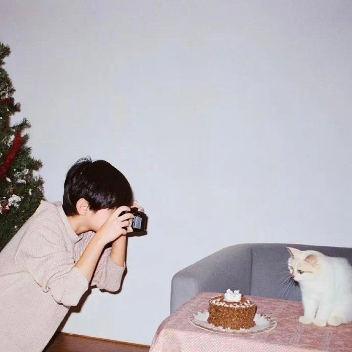 F.02（我不是猫砂盆版）