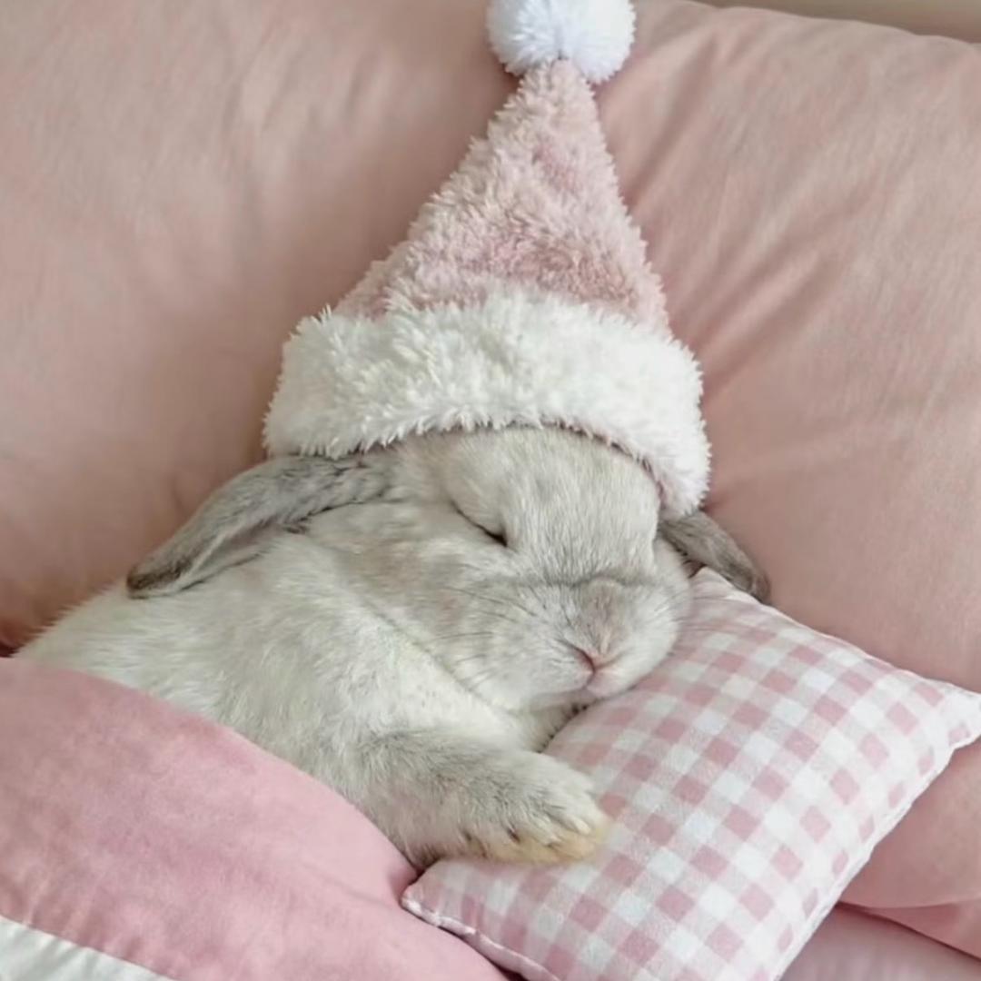 𝗹𝗹𝗹𝘂𝘀𝗶𝗼𝗻𝘀