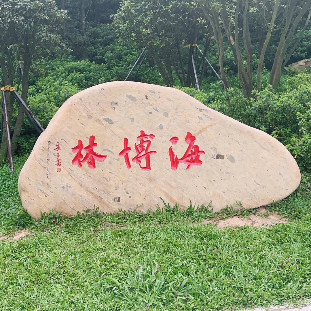 专业回收销售电解电容