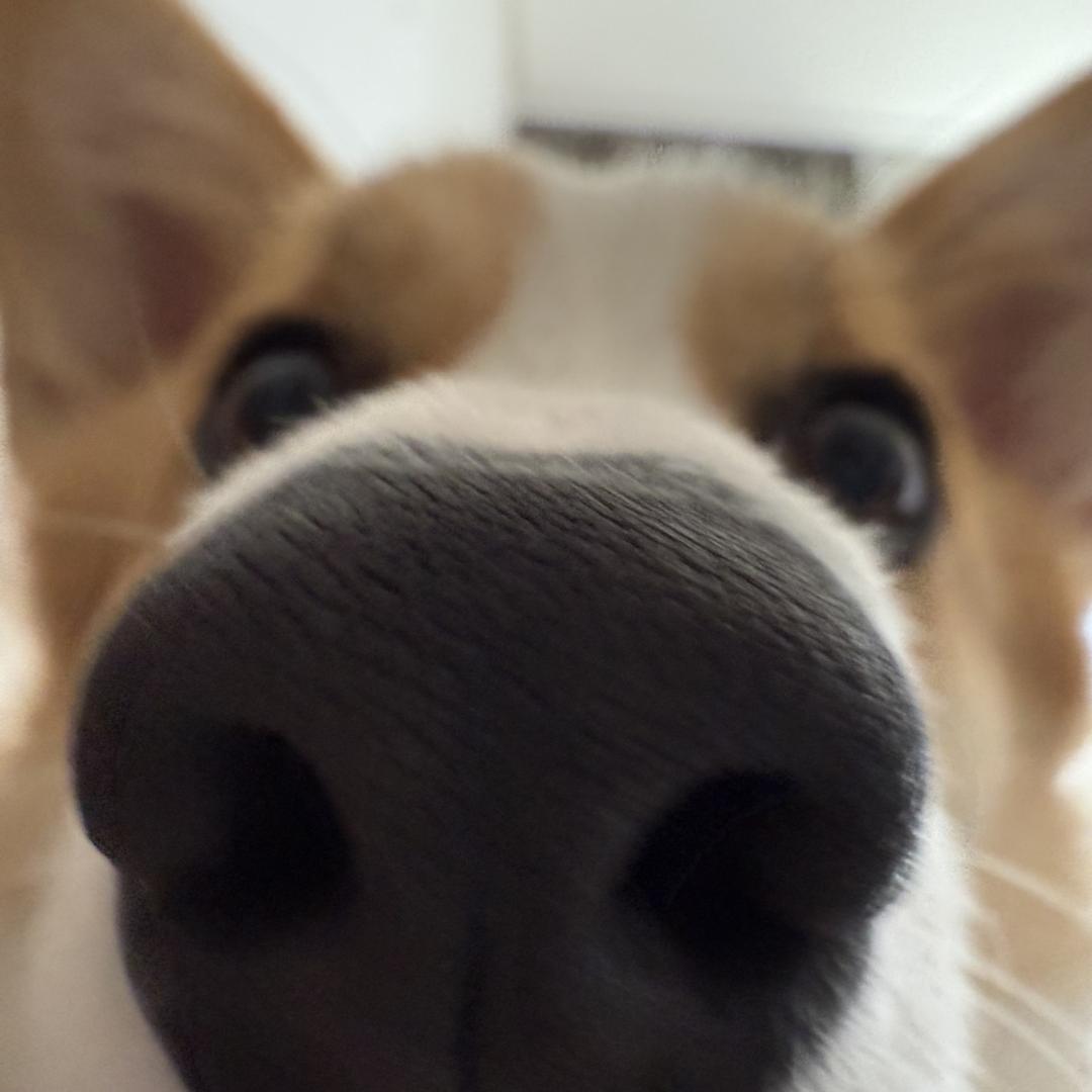 AC女士（见过鹿晗21次并牵手7次版