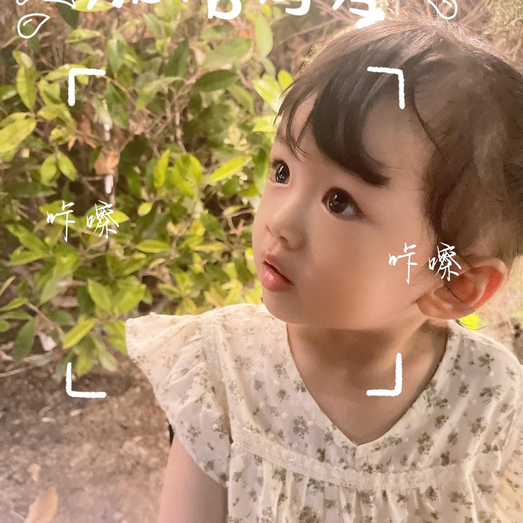 怀里的狗与他
