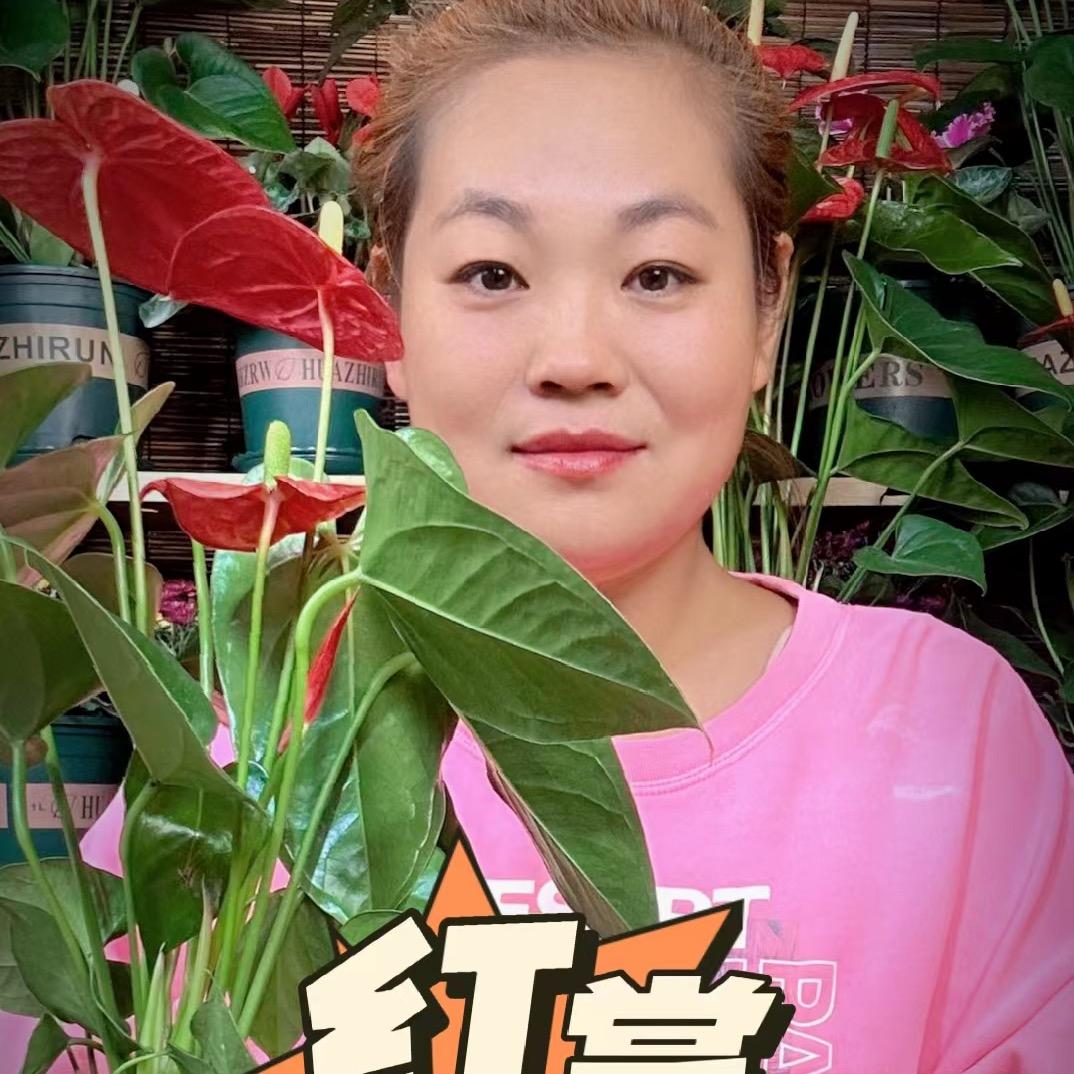 小宇的花卉