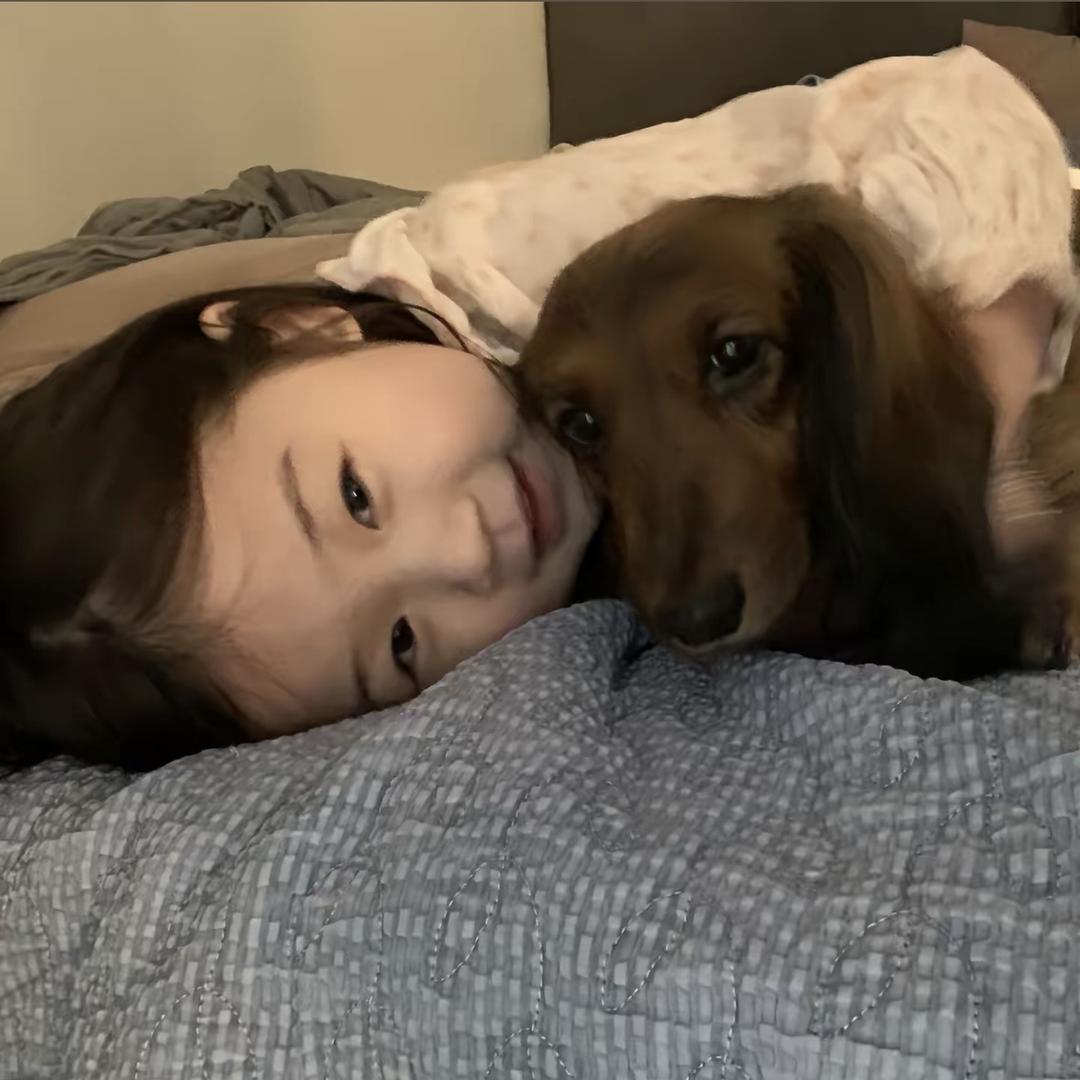 JY刘笑起