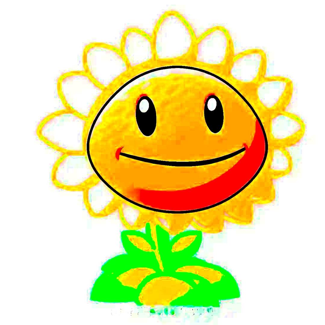 Coach 张不胖的日常