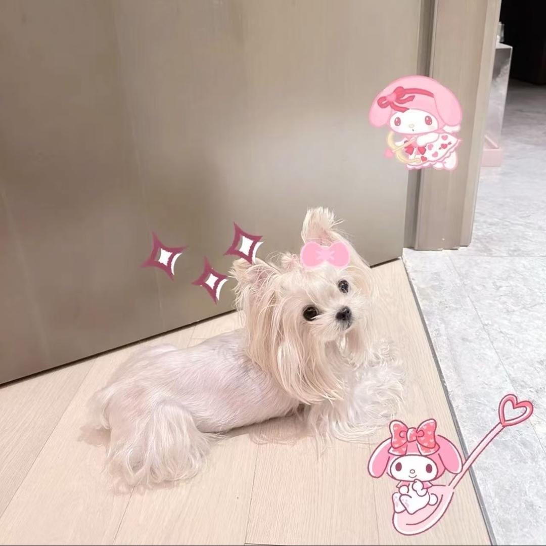 小雨天气