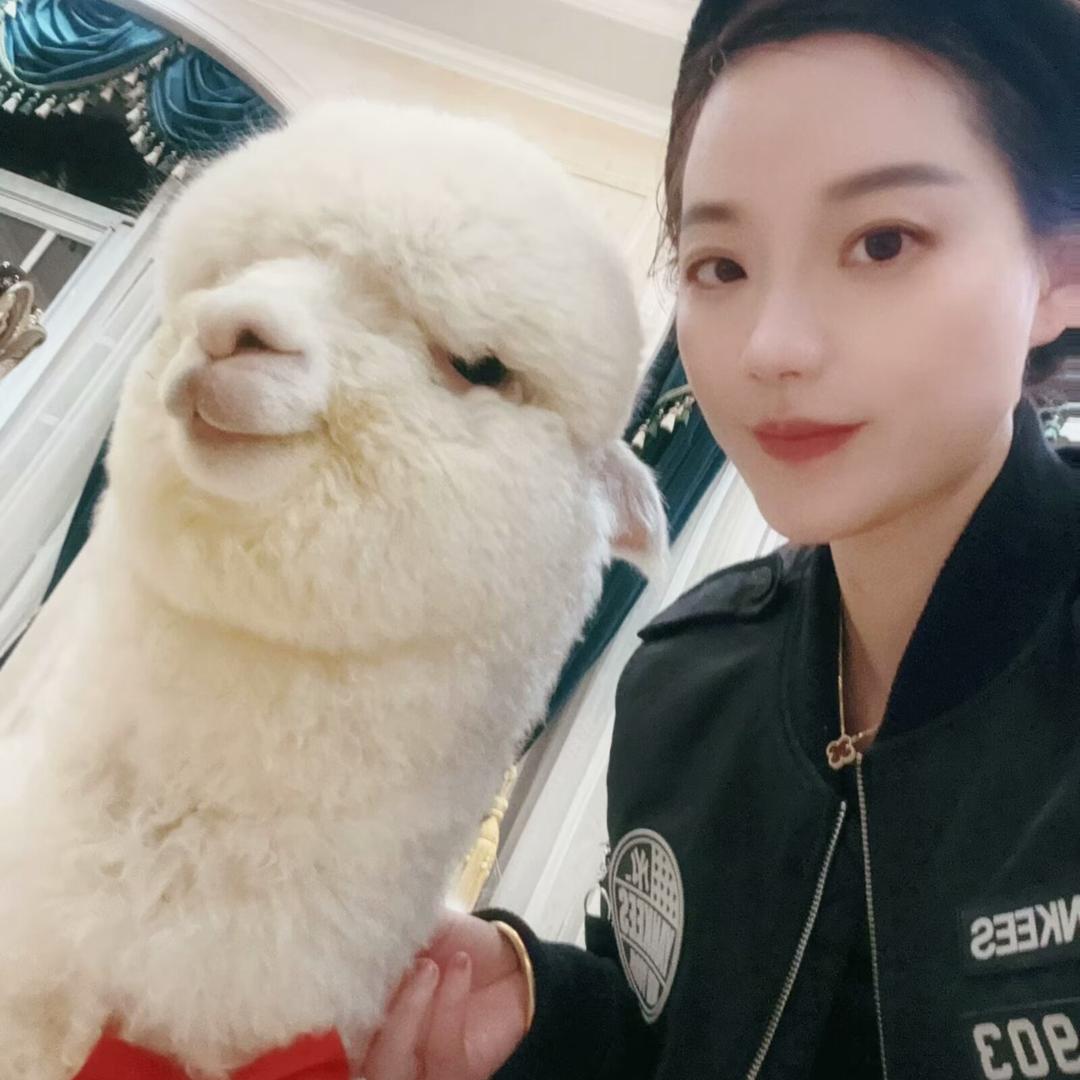 羊驼万万和妮妮