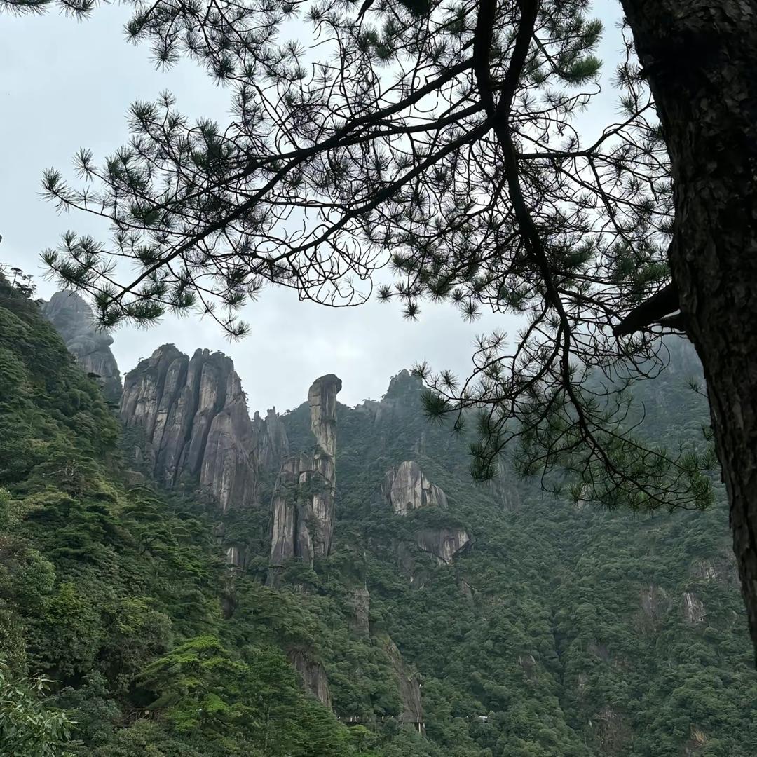 唯其难