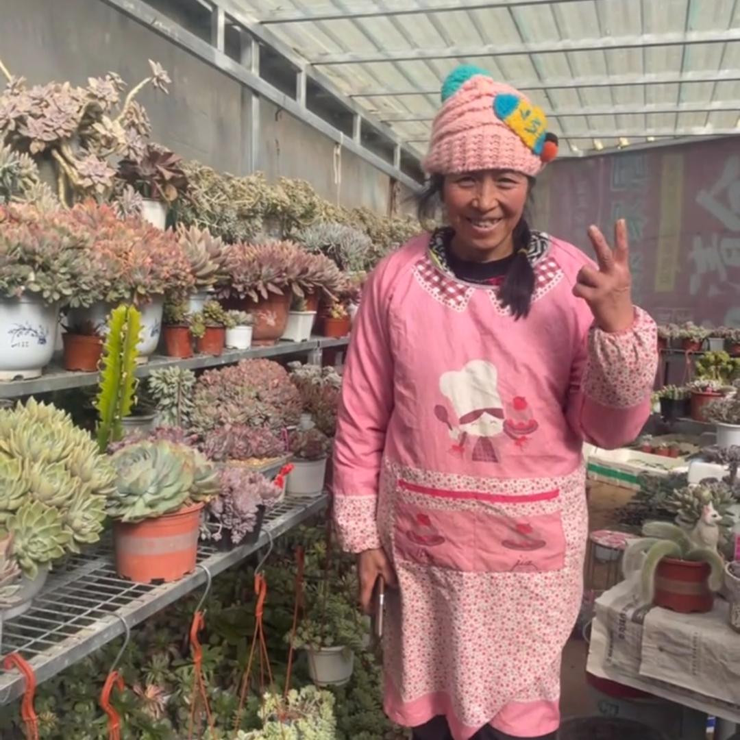 连梦奇缘7点20开播