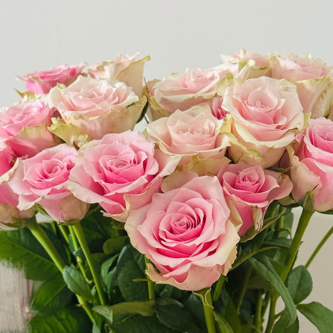 碎碎念Ting姐日常