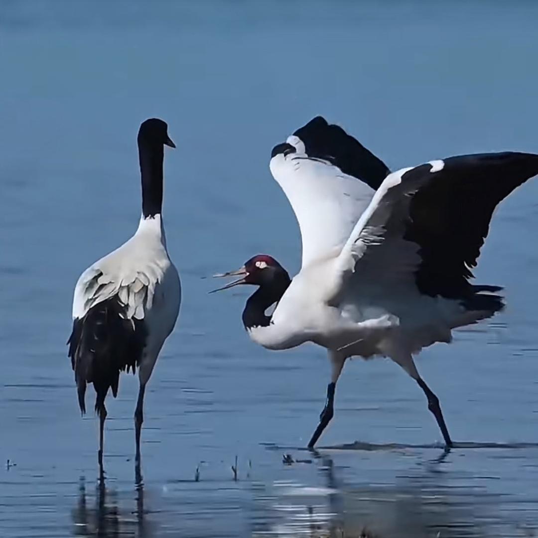 记住我的名字，5/29