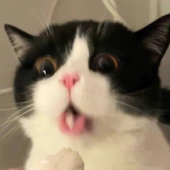 261