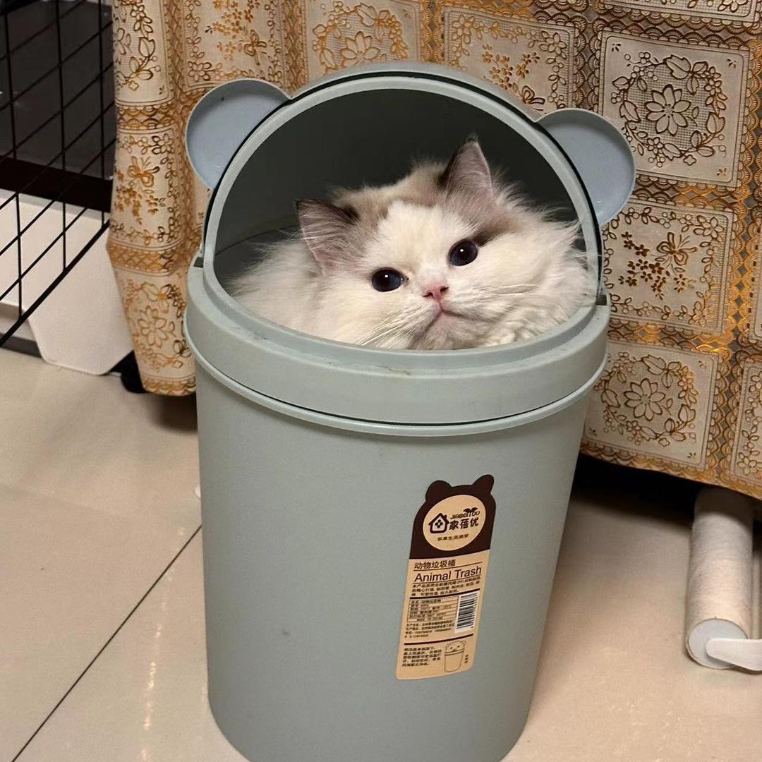 ''