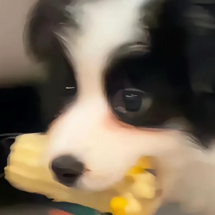 格子里