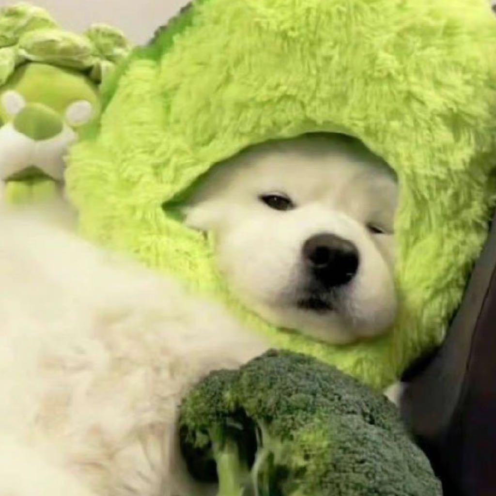 甜甜花菜小橘子