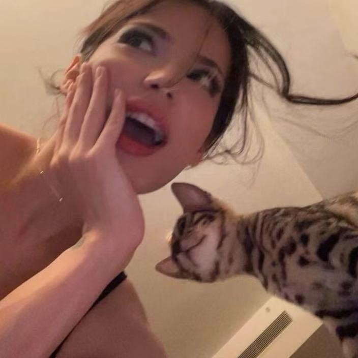 柳.