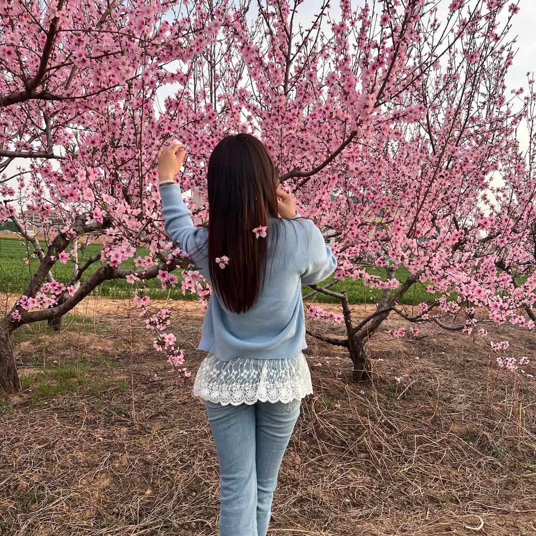 雪域之恋❤️🌹🌸🌸🌺🌺