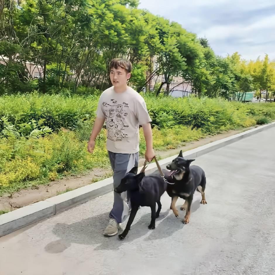 训犬💘小王老师