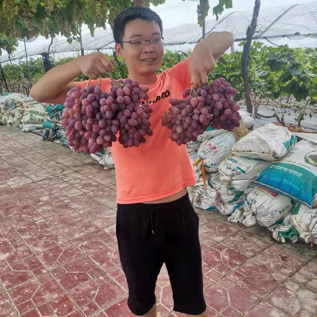 小强强