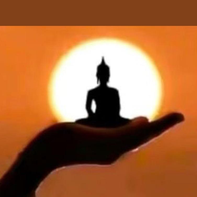TAO.      💫