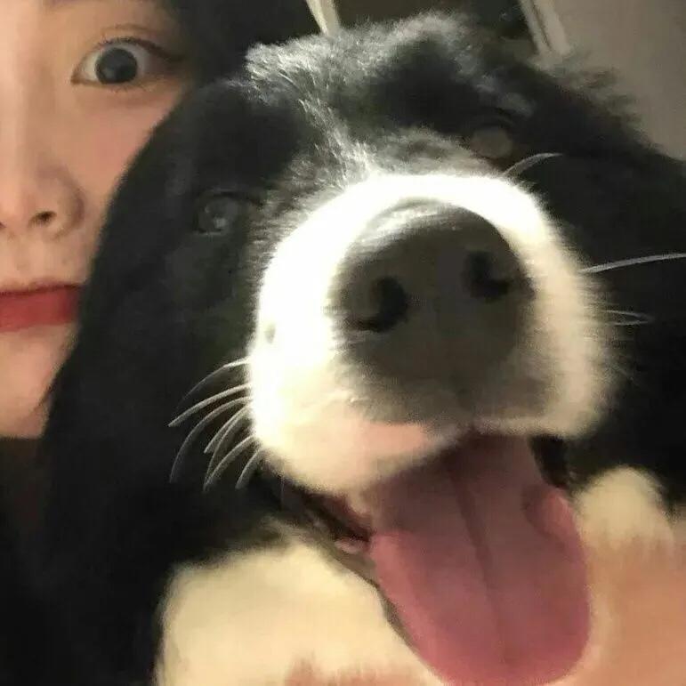 不止陪你听歌
